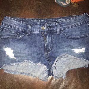 Vans skater shorts